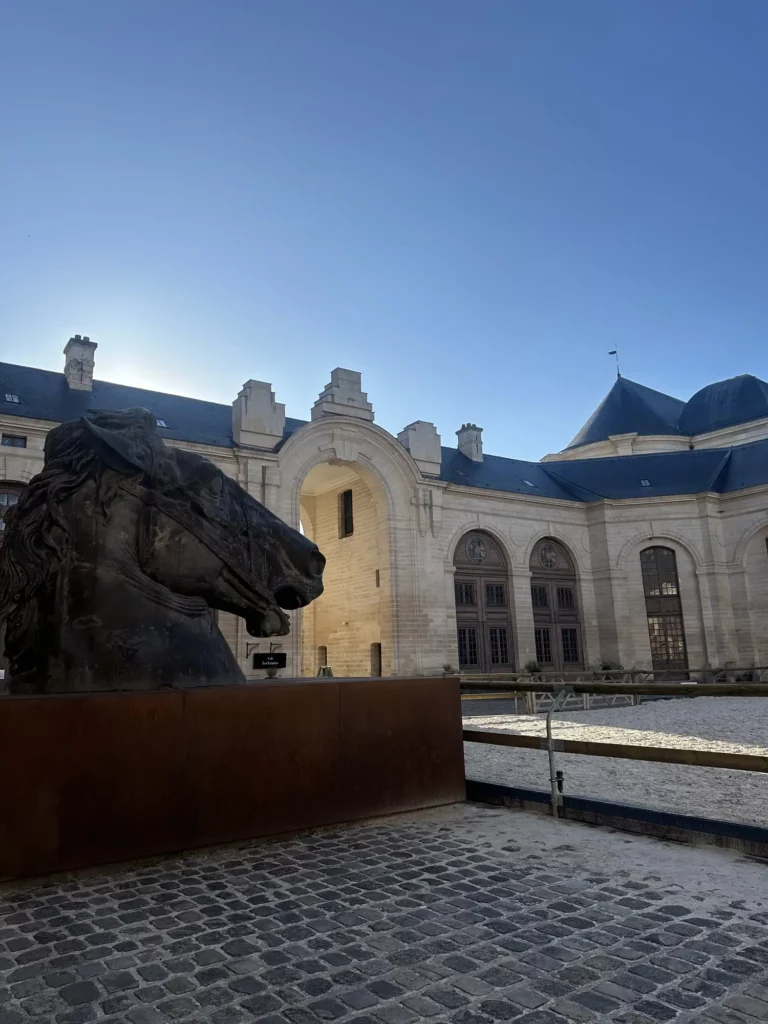 Musée vivant du cheval à Chantilly